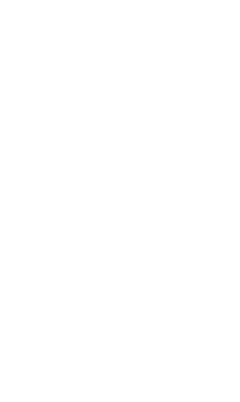 logosmallwhite